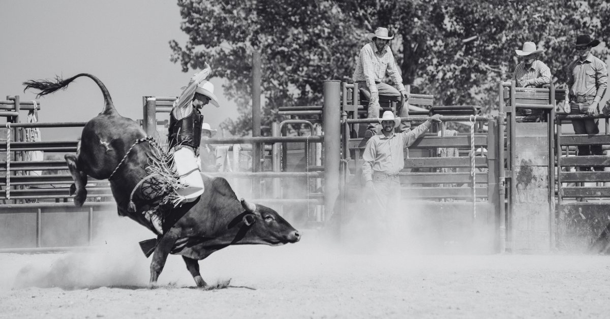 The Rodeo Came to Jackson Hole