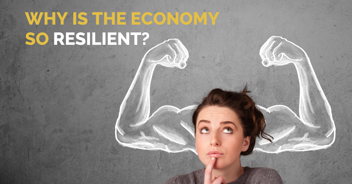 Why is the Economy so Resilient?